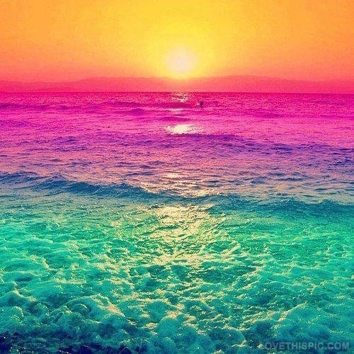 rate this photo